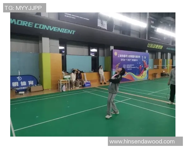 南京羽毛球队的崛起与发展：探索羽毛球运动的力量与魅力