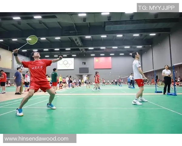 北京羽毛球队默契配合分析与战术探讨之路